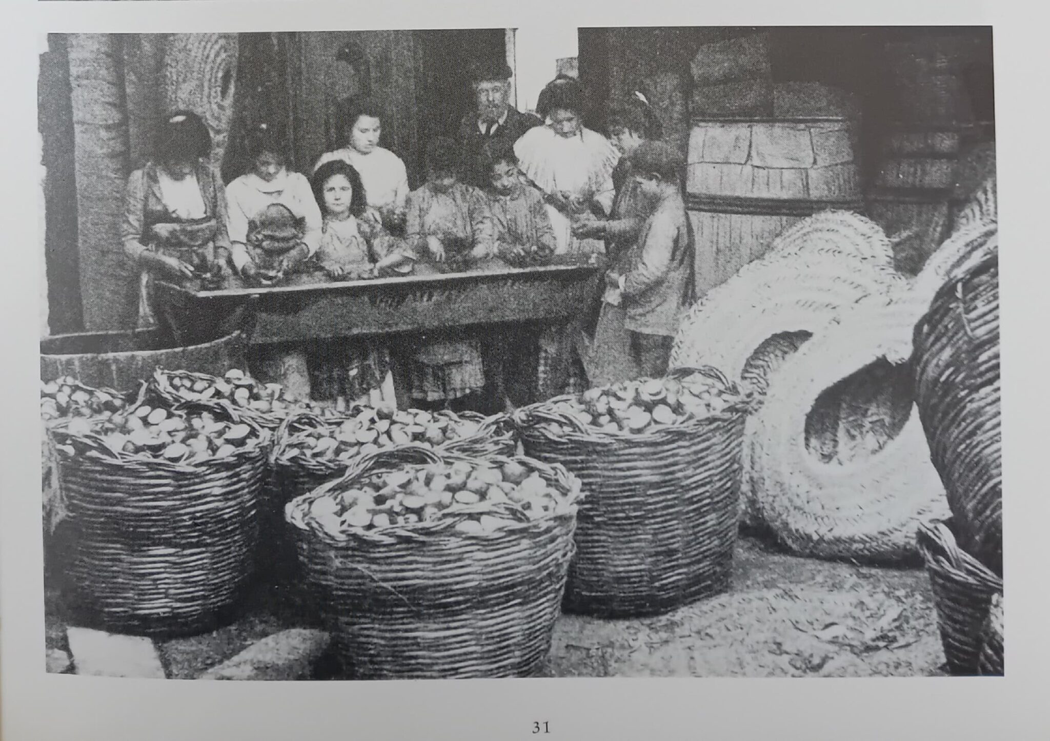 camscanner 31 08 2024 10.45 7 (9)~3