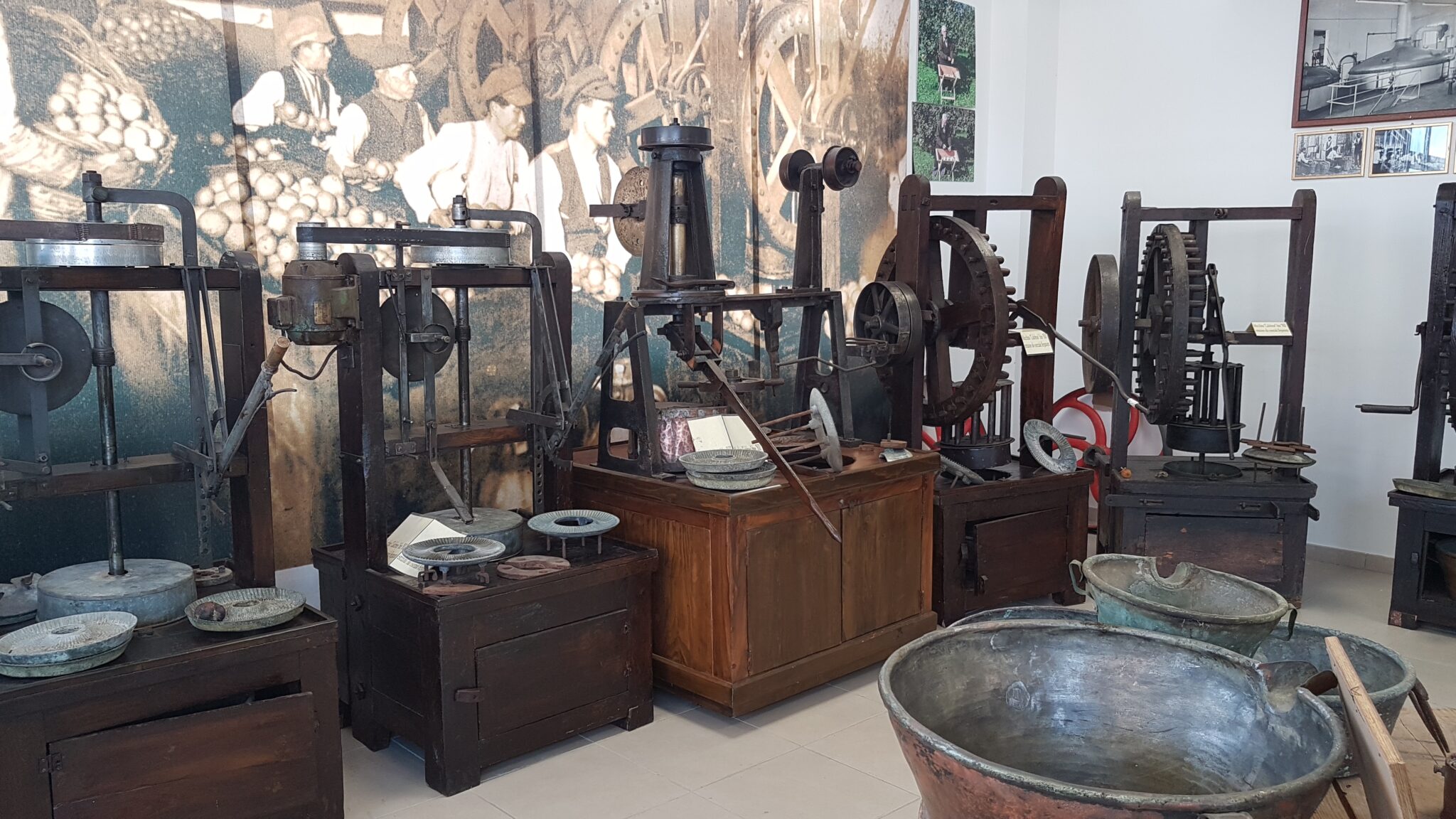 foto esposizione museo 2