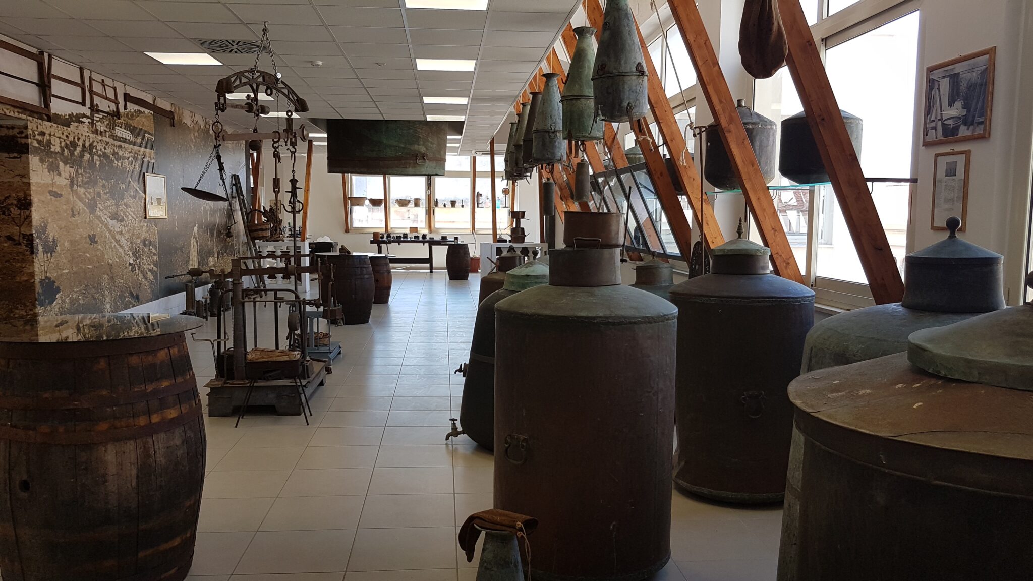 foto esposizione museo 5